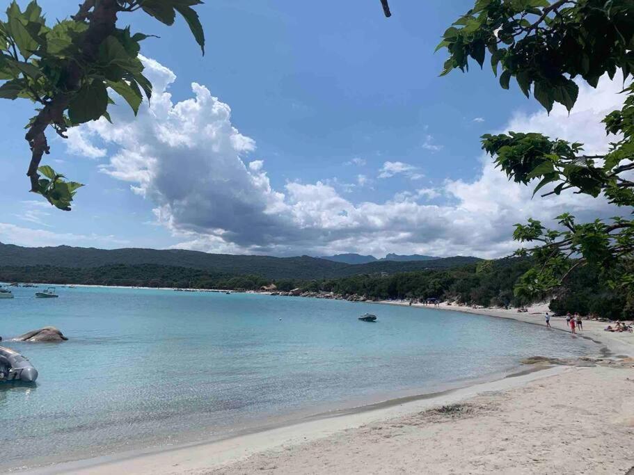 Piana Porto-Vecchio (Corsica) Exterior foto